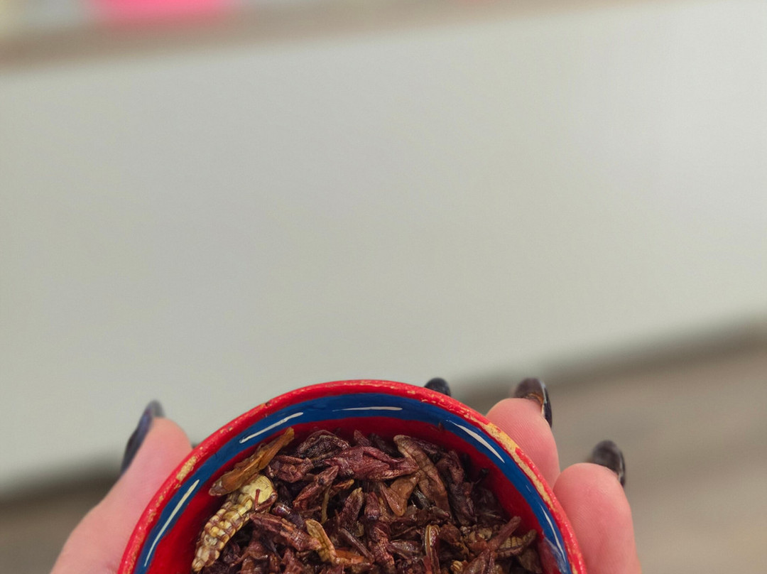 Rivera's Kitchen Tulum-图伦必去景点