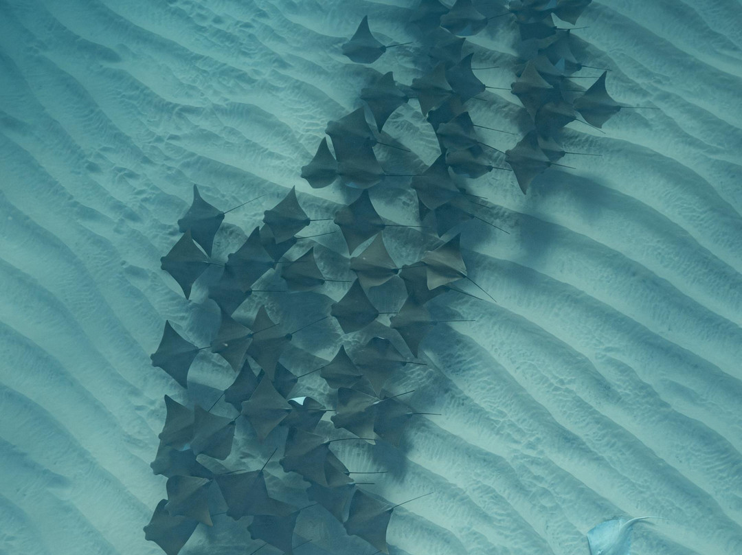 Uncharted Expeditions-圣何塞卡波必去景点