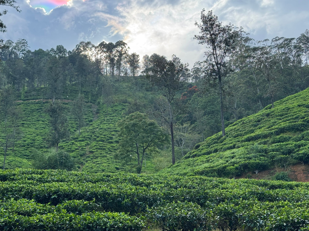 Sri Lanka Lasantha tours-Gampaha必去景点