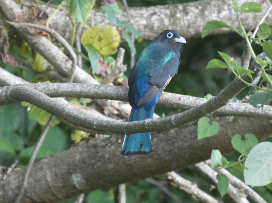 Tours and More CR-圣特雷莎必去景点