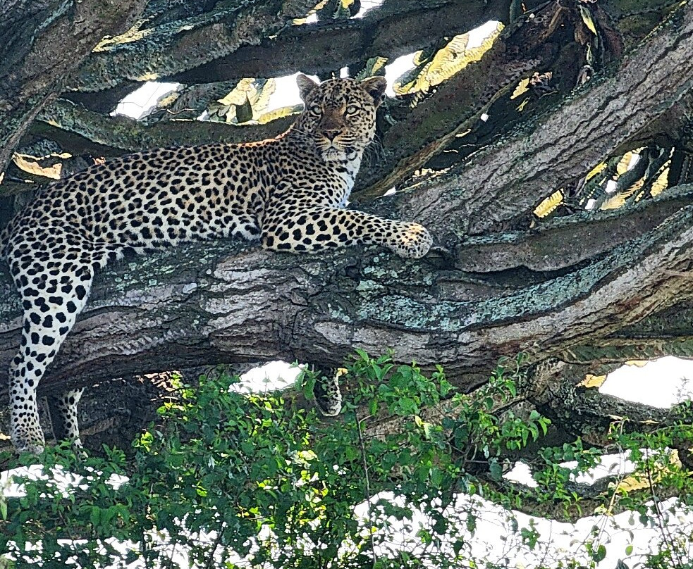 Mukiza Gorilla Expeditions-Kanungu必去景点