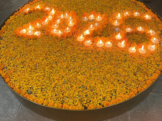 Kavya Himalayas主图