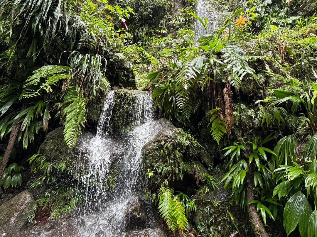 Just Go Dominica-多米尼克必去景点