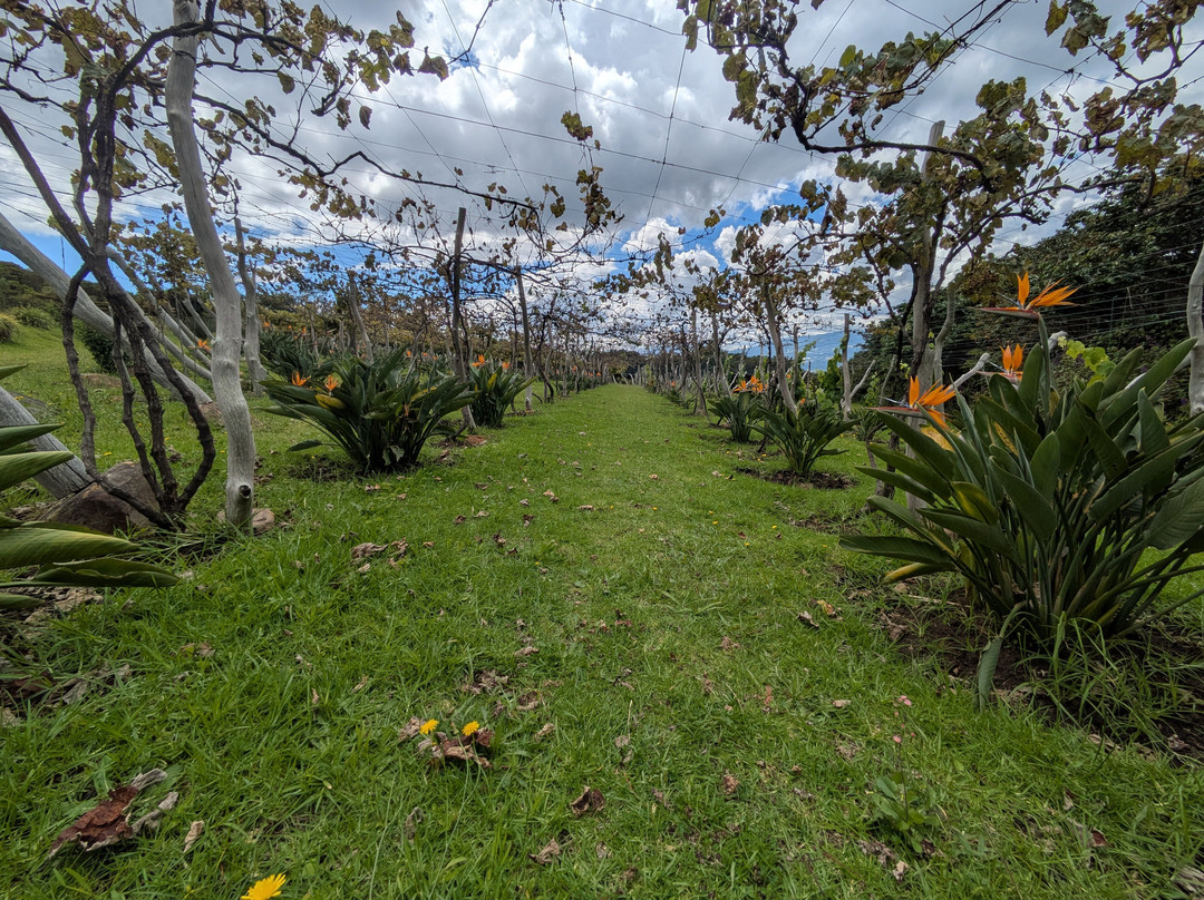 Eco Parque Conscientia Universallis-莱瓦镇必去景点