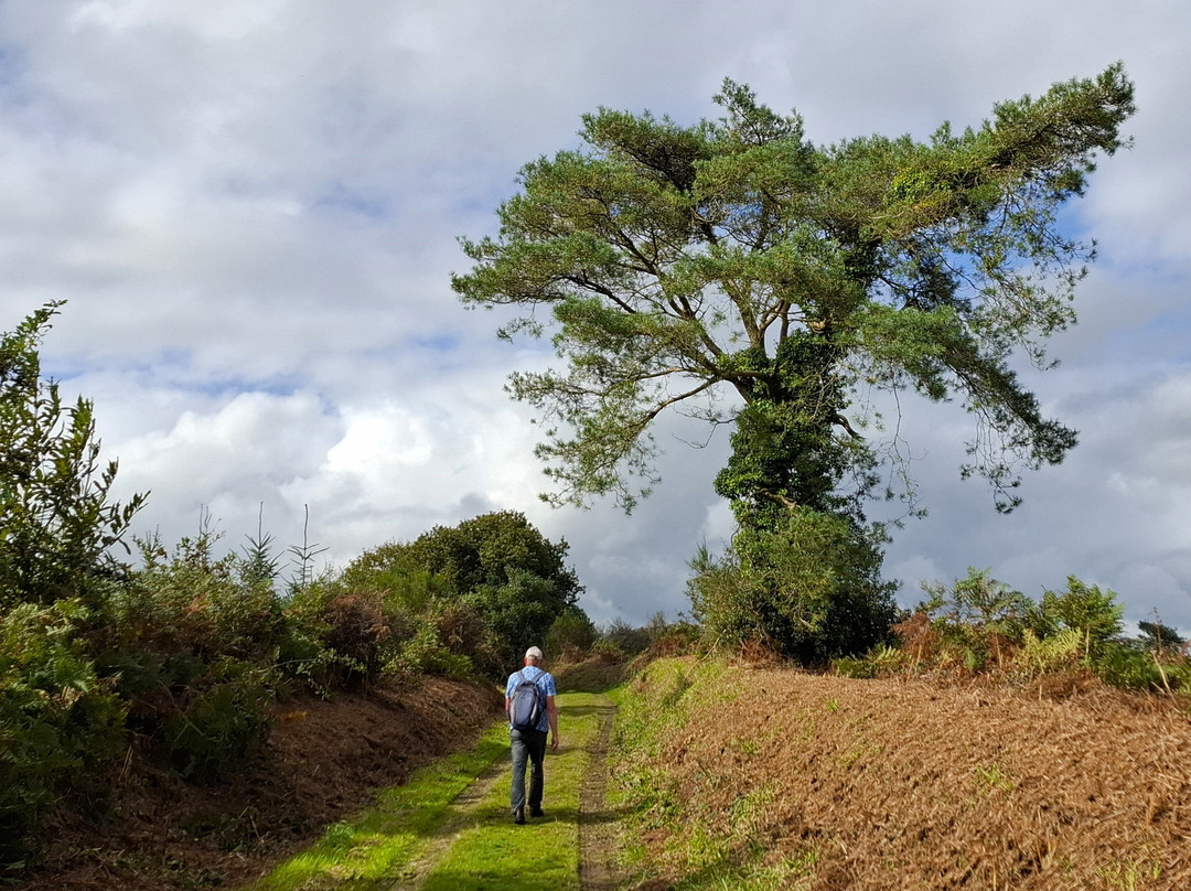 Circuit du Menhir à Berrien-Berrien必去景点