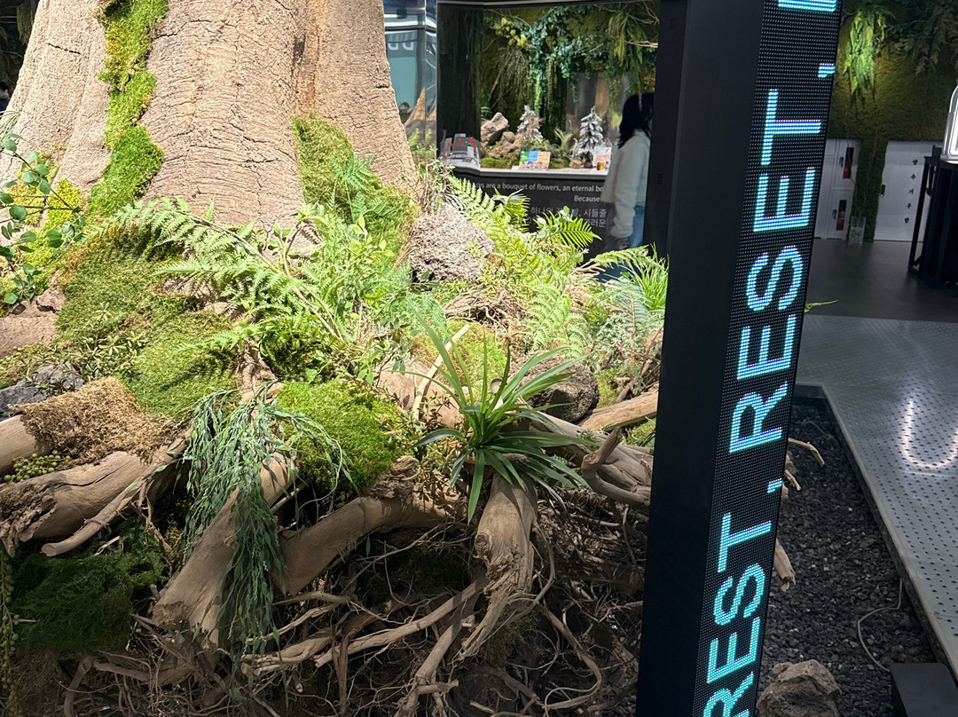 B The B-首尔必去景点