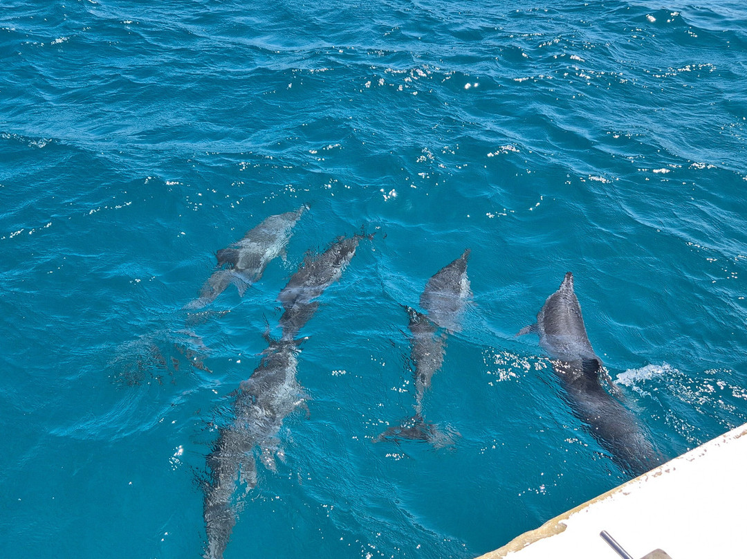 Noronha Surf Hoe-Vila dos Remedios必去景点