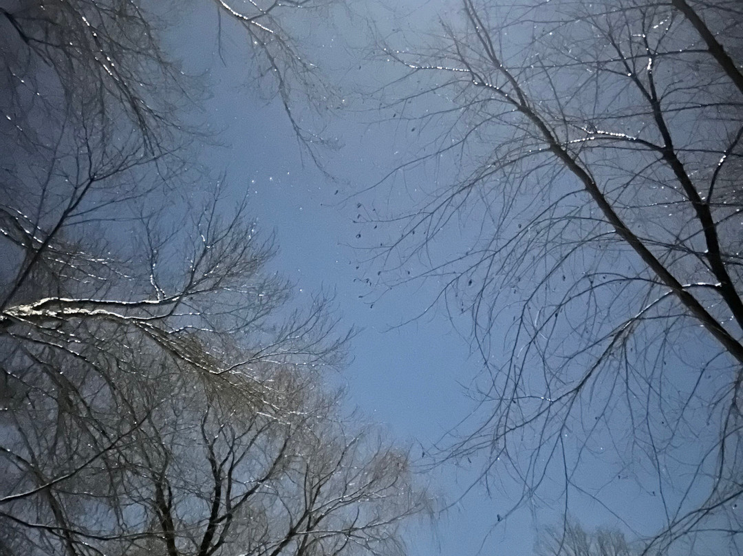 Orchard Farmhouse NH主图