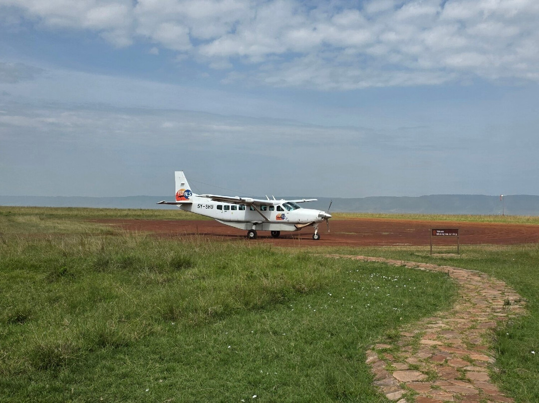 Designer Safari-内罗毕必去景点