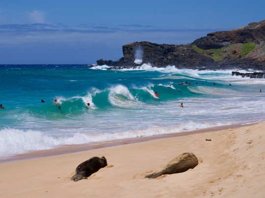 Aina Explorer- Oahu Private Tours-火奴鲁鲁必去景点