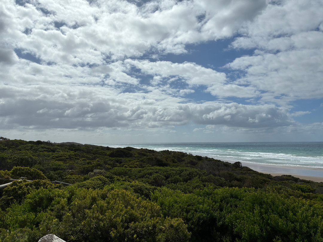 Loveridge Lookout-安格尔西岛必去景点