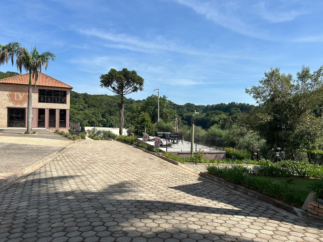 Hotel Vinícola Davo主图