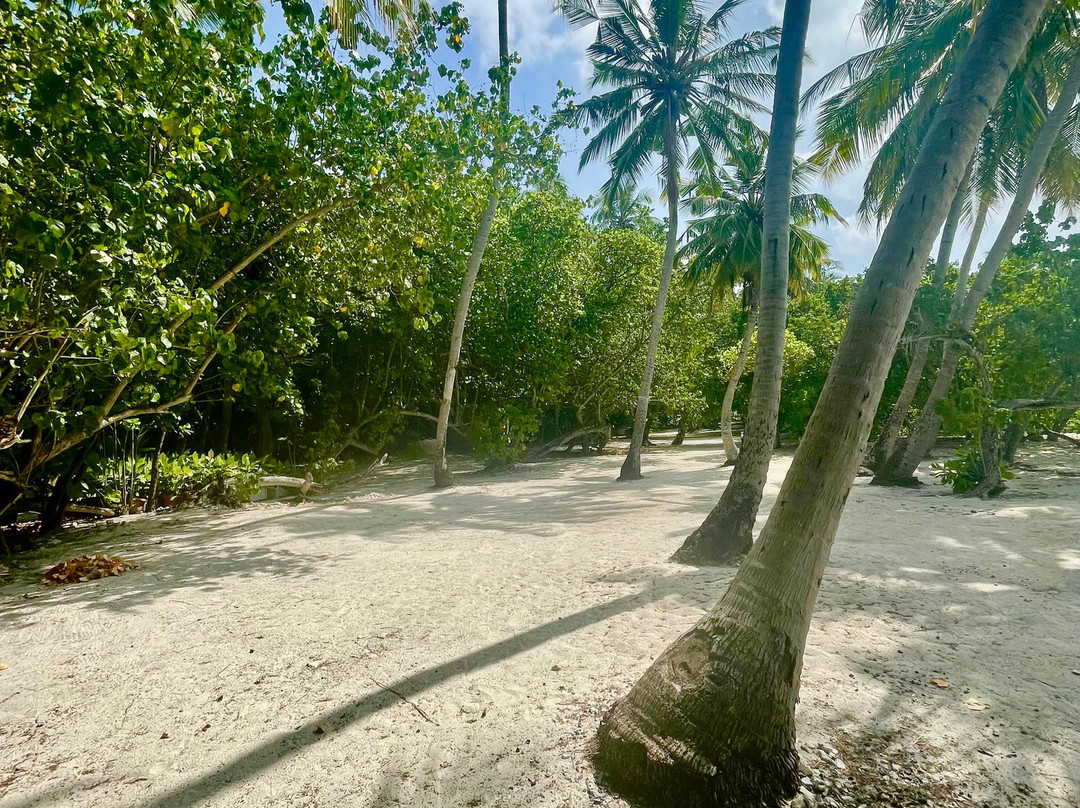 Into the Blue Lodge主图