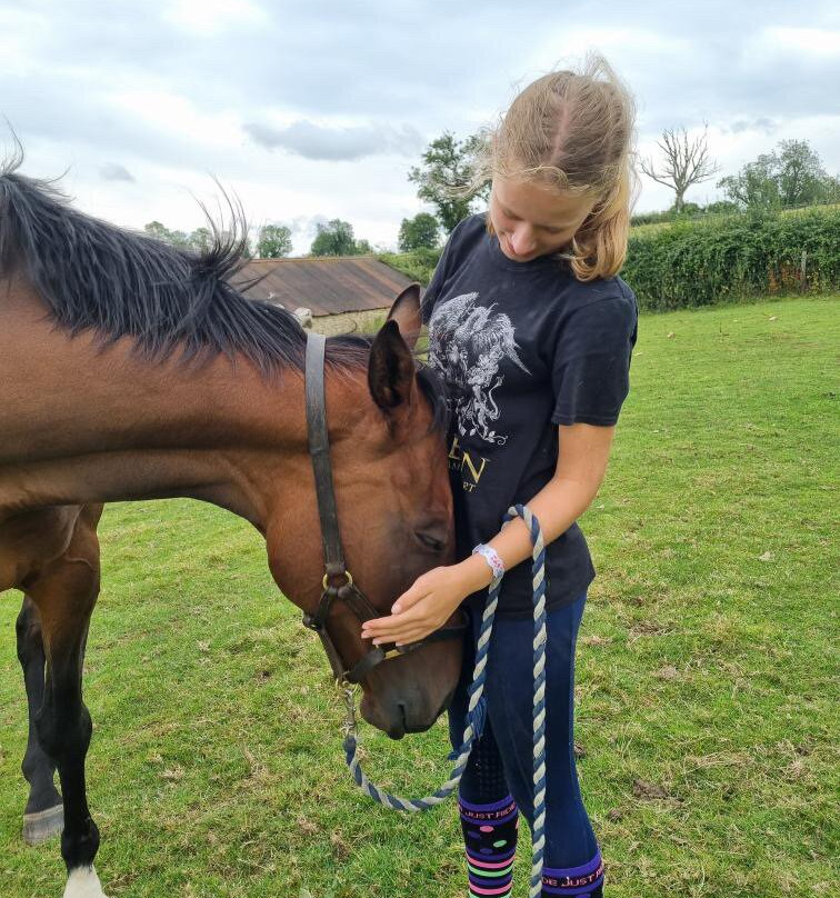Pioneer Equestrian Coaching-Charlbury必去景点