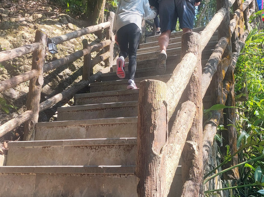 Taxi Cát Bà - KingCong Travel-Cat Ba Town必去景点