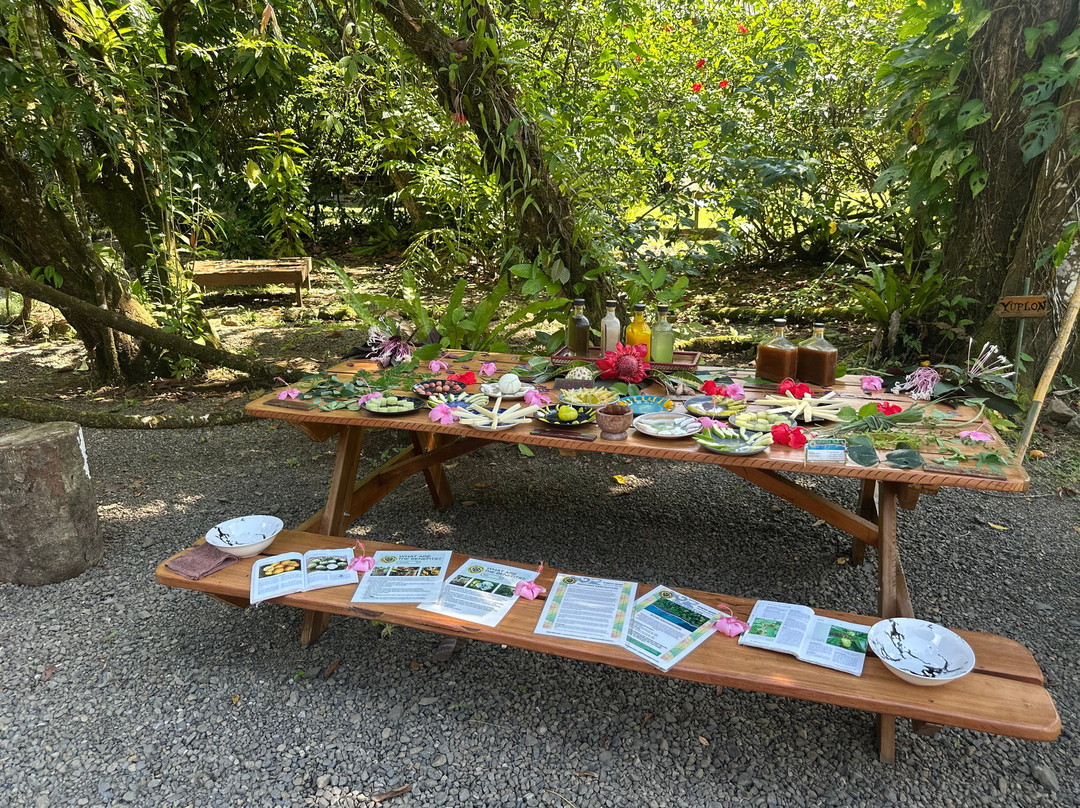 Shooting Star Studio-帕沃尼斯必去景点