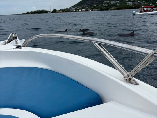 Vitamin Sea Mauritius-黑河必去景点