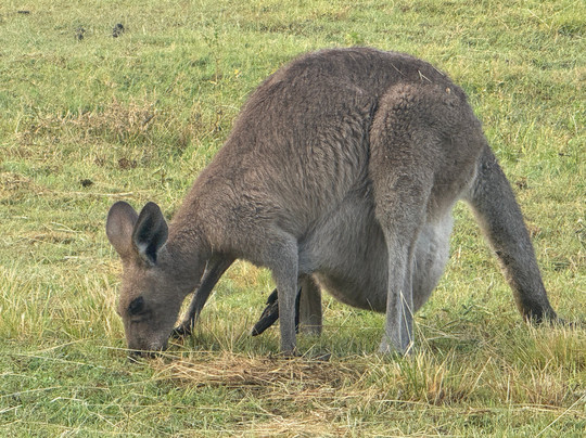 Coombabah Lakes Conservation Area-Coombabah必去景点