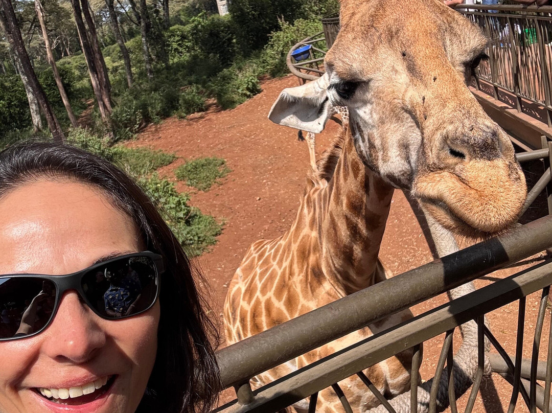 Ahambi Tours-南由基必去景点