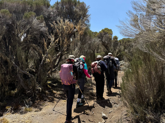 Dotcom Safaris Ltd-莫西必去景点