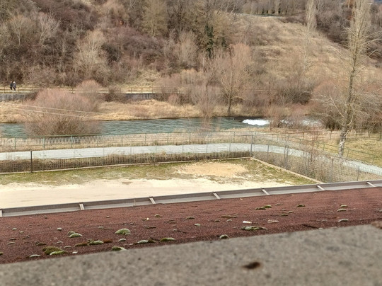 Hotel Don Luis主图