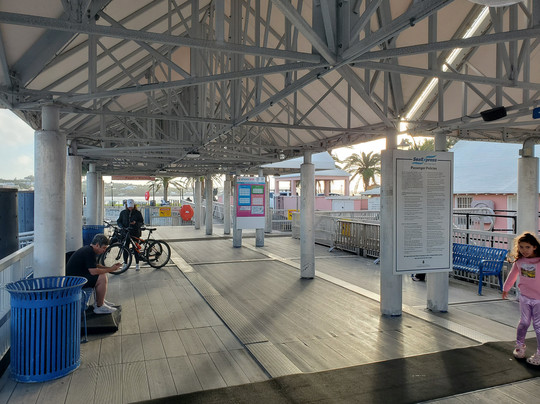 Sea Express Ferry Service-汉密尔顿必去景点