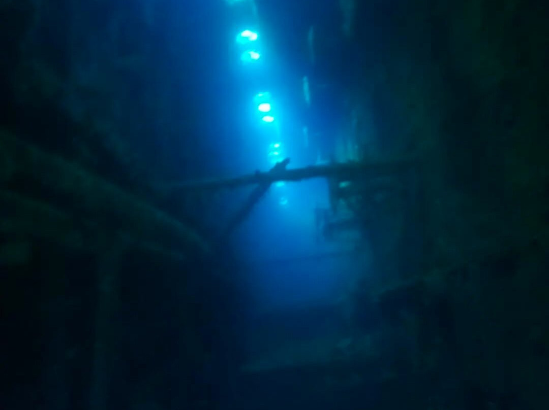 Gorgonia Diving-Acherounes必去景点