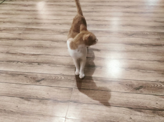 Amadi Beachfront Resorts主图