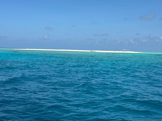 Into the Blue Lodge主图