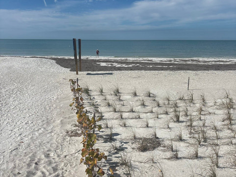 Indian Rocks Beach Access-Indian Rocks Beach必去景点