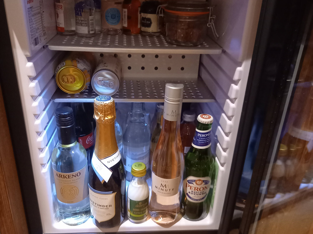 教练与马酒店主图