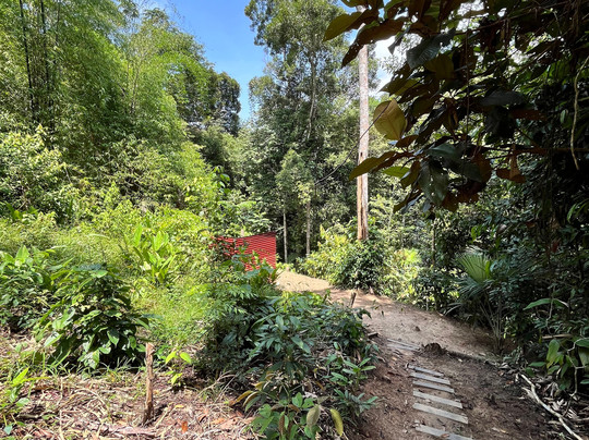 Psychonauta Foundation-伊基托斯必去景点