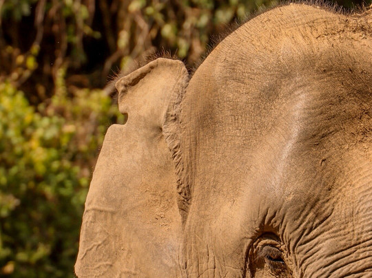 Chang Chill-Mae Win必去景点