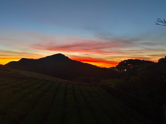 Visit In Lanka-尼甘布必去景点