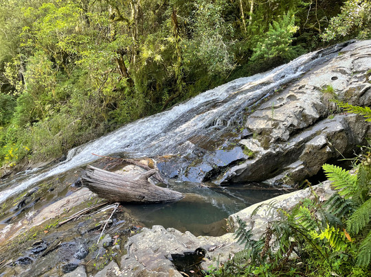 Tarra Falls-Tarra Valley必去景点