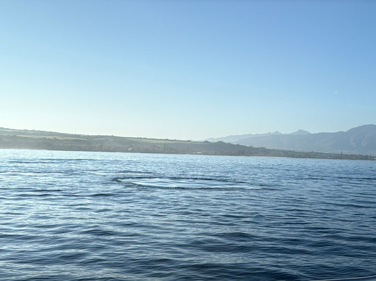 Bob Marlin Charters-哈雷瓦必去景点