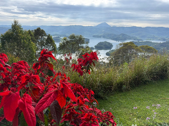 Buutu Safaris-金贾必去景点