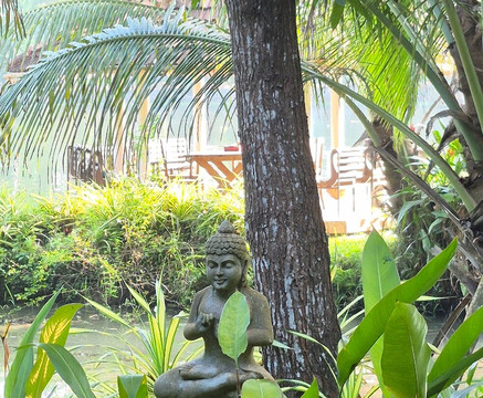 Sunsets and Palm Trees主图