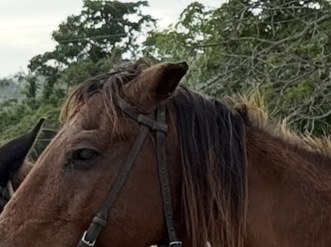 Chukka Seville Outpost-Priory必去景点