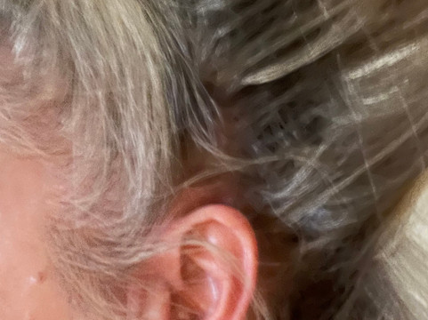 Serenity Loves-彼得伯勒必去景点