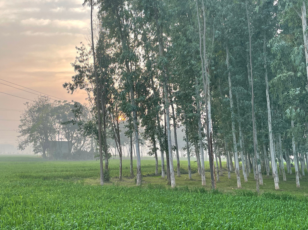 BOUT INDIA TOURS-斋蒲尔必去景点