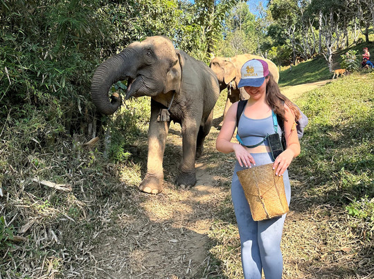 Chiang Mai Eco Trekking-清迈必去景点