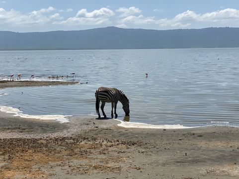 ZAFS Tours-莫西必去景点