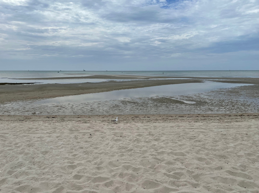Capel Sound Foreshore-Tootgarook必去景点