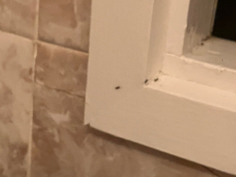 Boat Ramp Motel主图