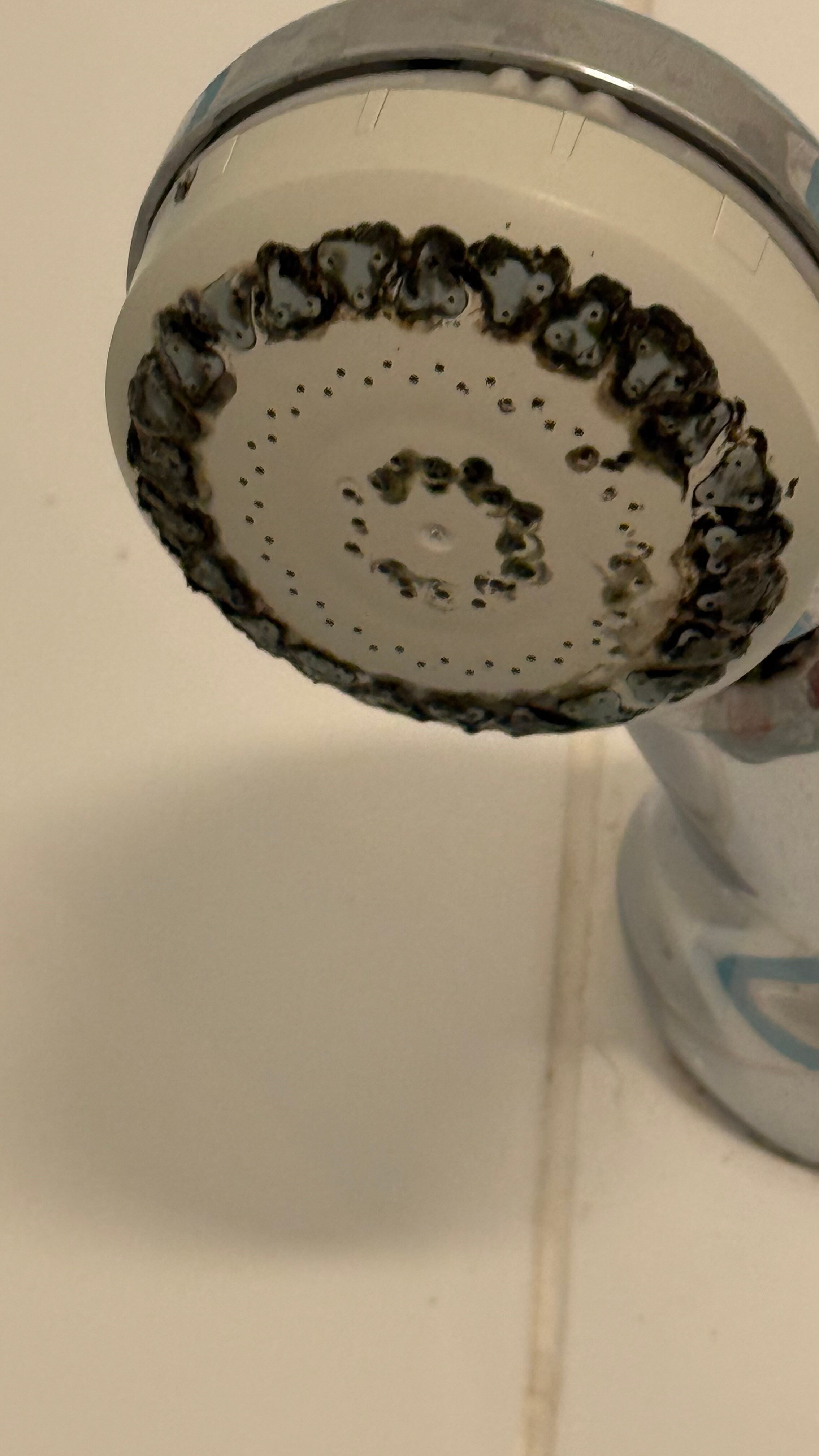 莱昂纳多利兹酒店-浴室