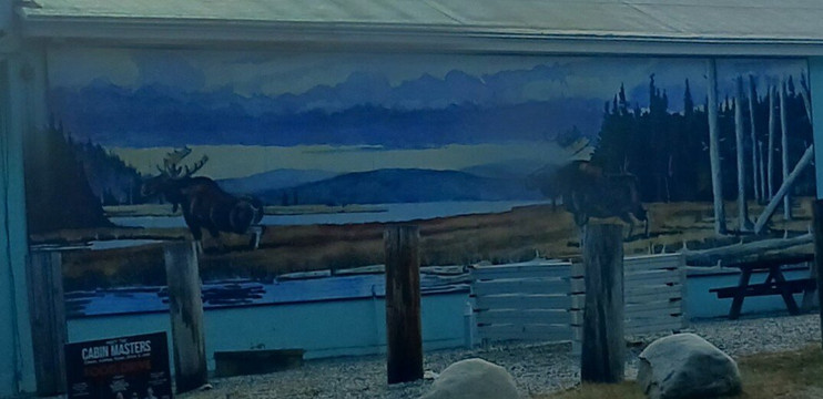 Mural Wildlife-Naples必去景点