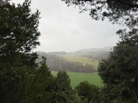 Dunster Castle-Dunster必去景点