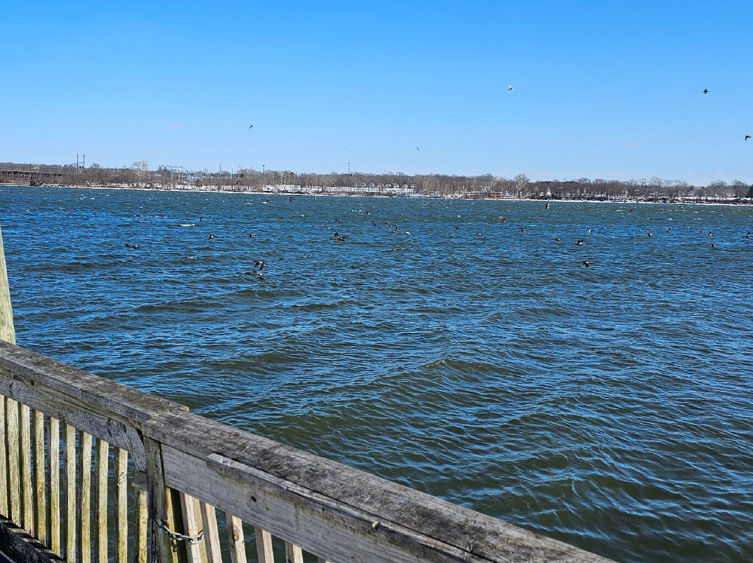 Frank J. Hutchins Memorial Park-Havre de Grace必去景点