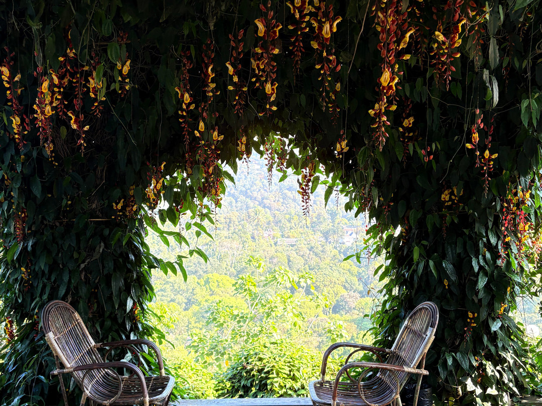 欢乐山度假村主图